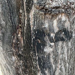 Meet your Posher, Melvin